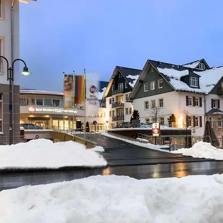 Western Willingen (Upland)