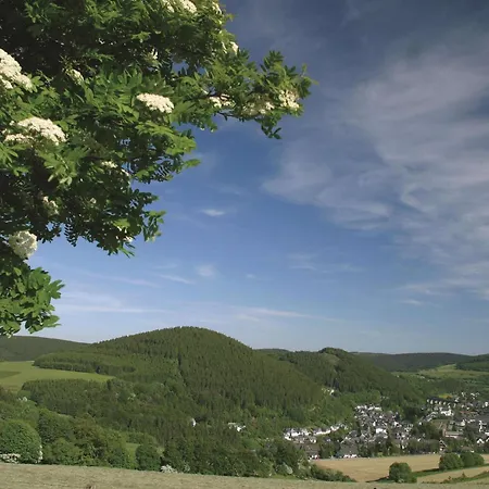Western Willingen (Upland)