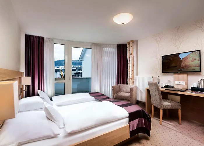 Western 4* 빌링겐